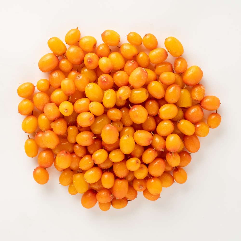 Sea buckthorn frozen