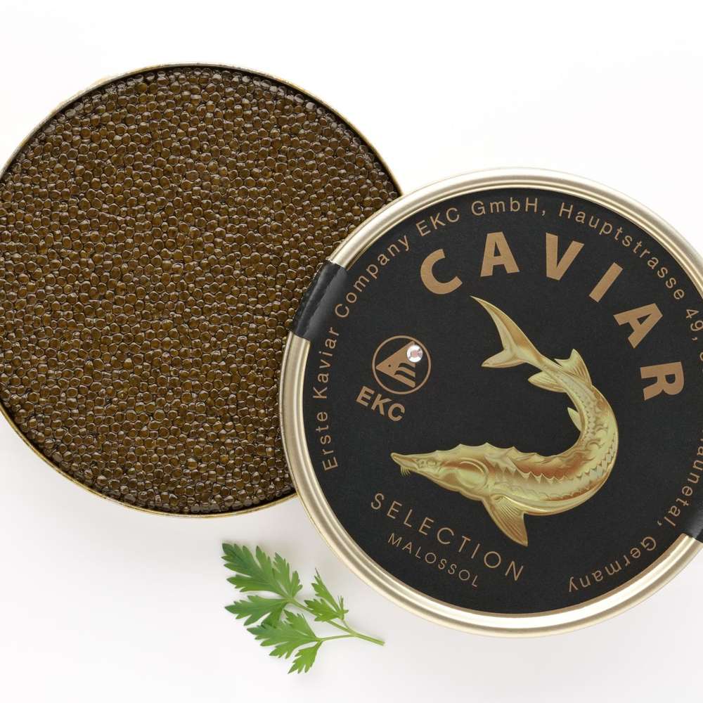 Sturgeon Caviar
