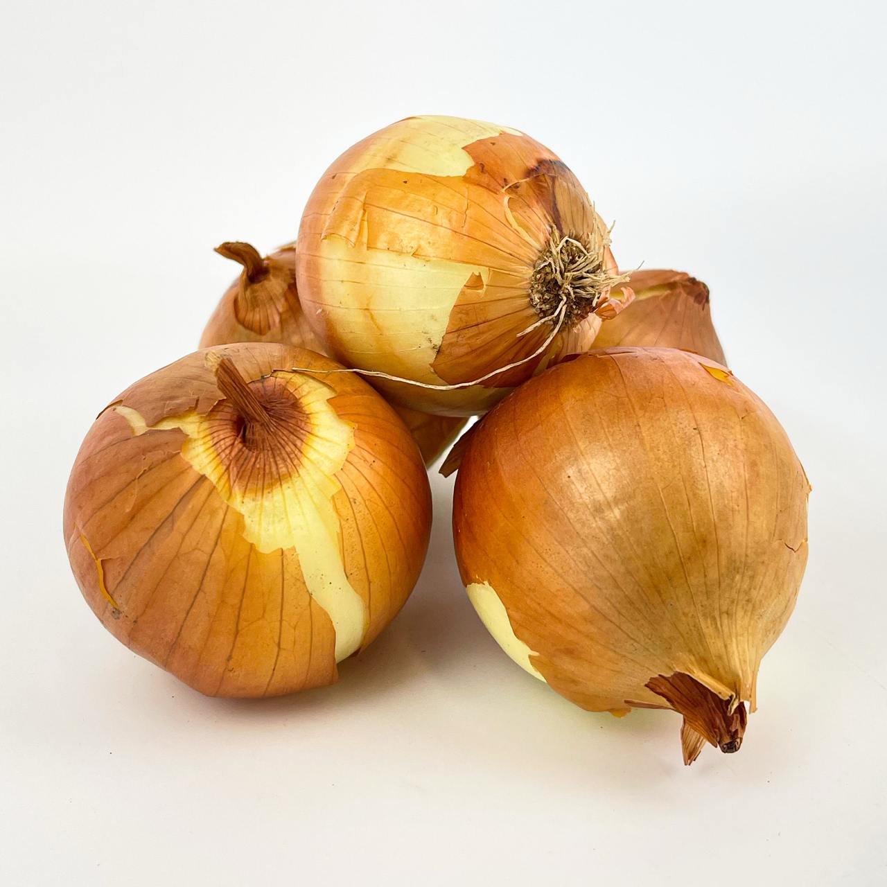 Onion