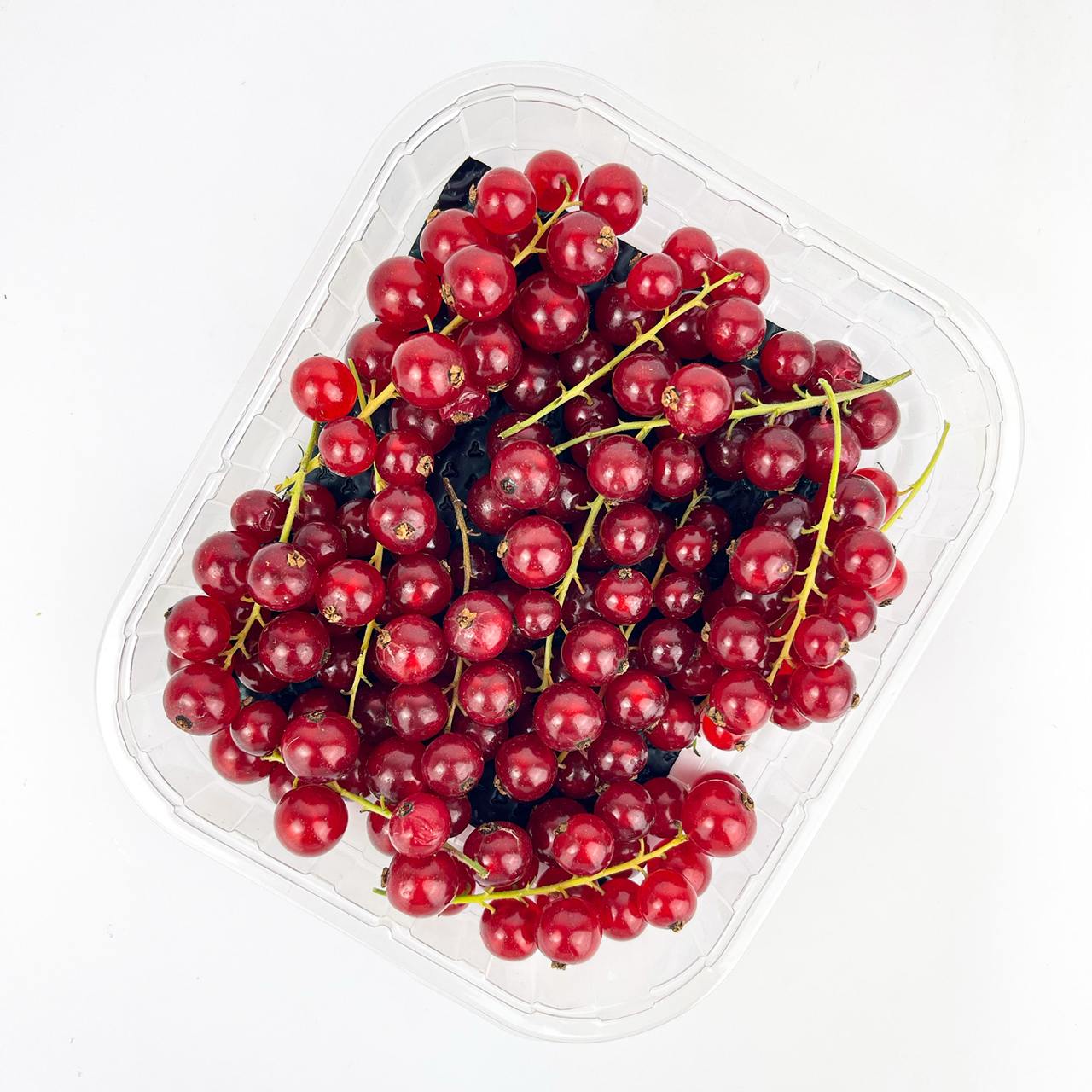 Red currant